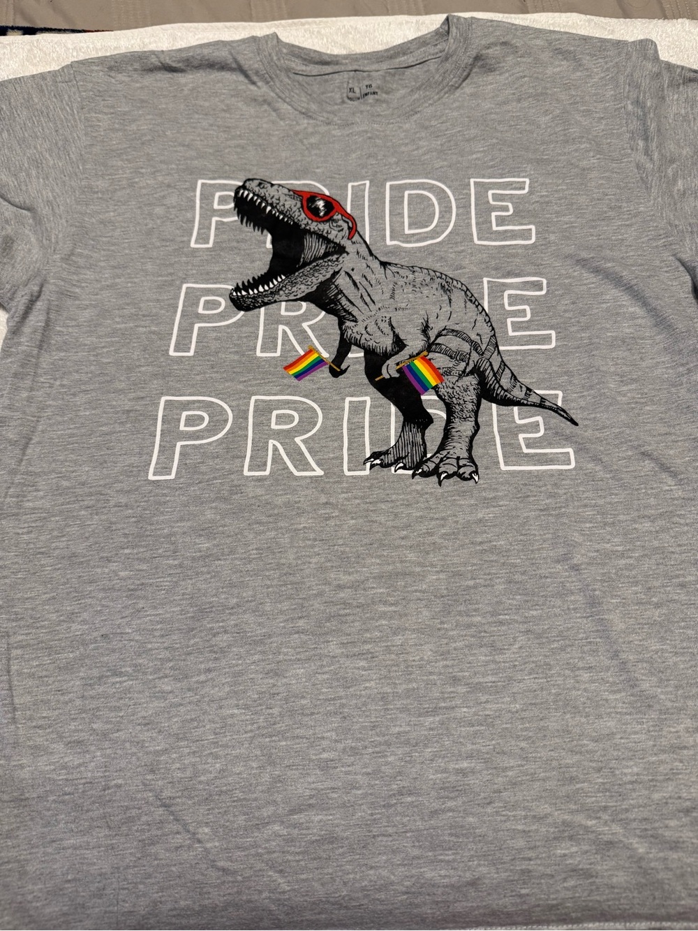 Kids Gray T-Rex Pride Graphic Tee